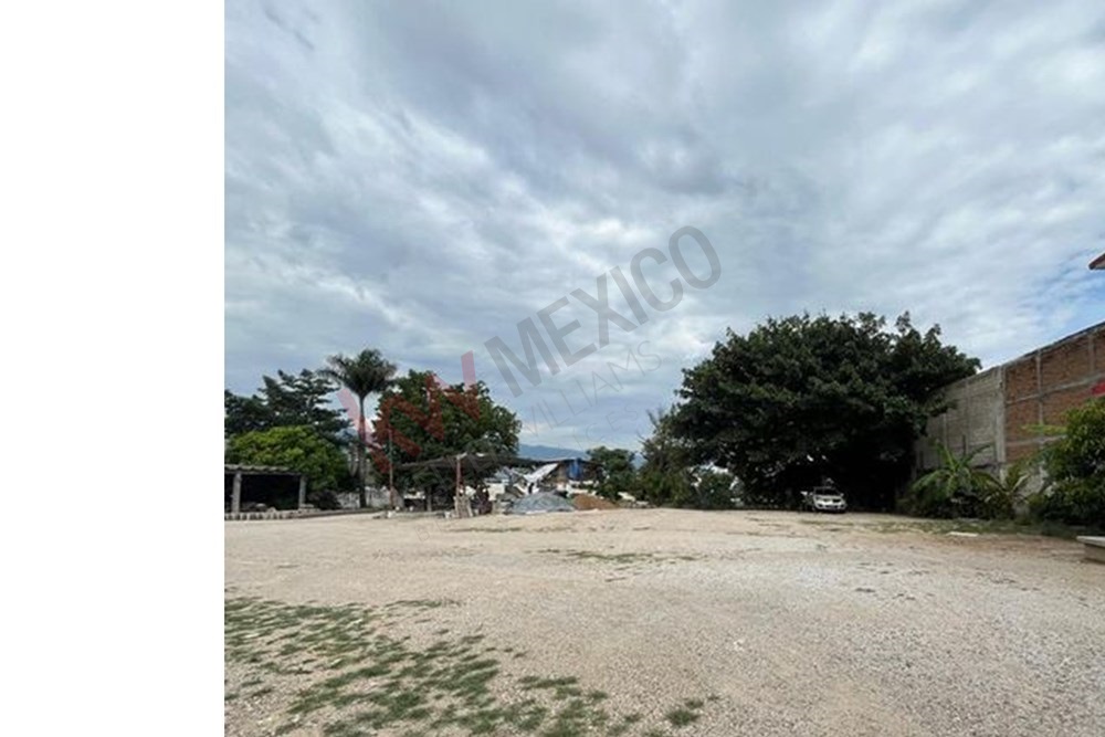 Imagen 3 de 5