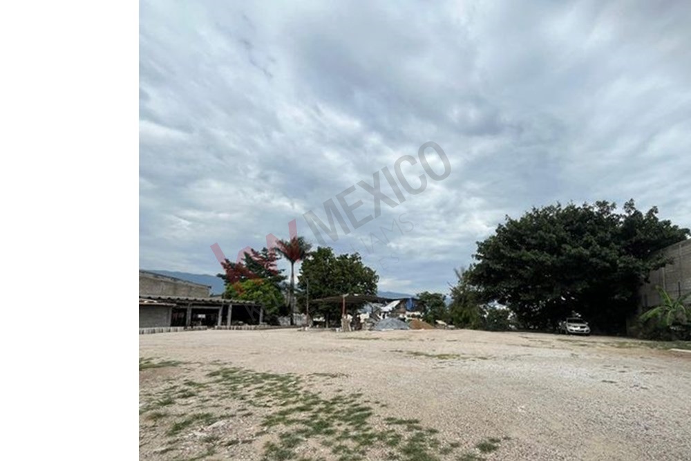 Imagen 4 de 5