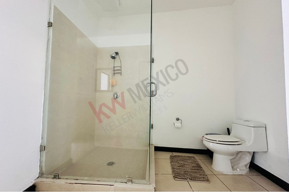 Imagen 4 de 5