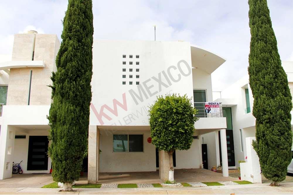 Imagen 5 de 5