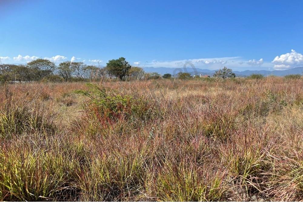 TERRENO CON EXCELENTE UBICACION EN VENTA PARA INVERSION