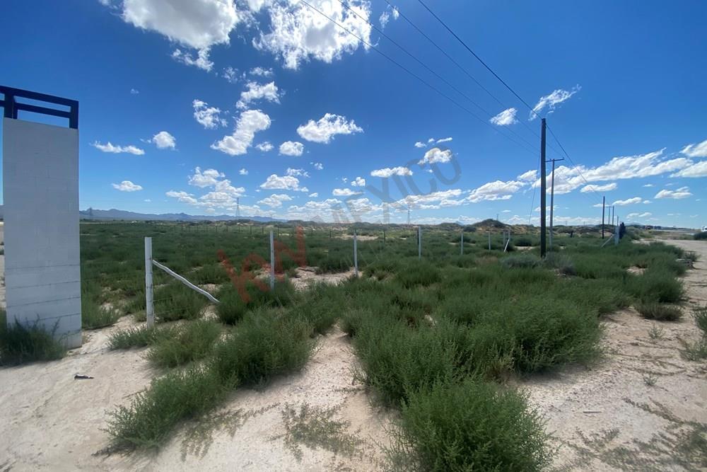 TERRENO EN VENTA 6 HECTÁREAS 5 MINUTOS DE LAS DUNAS DE SAMALAYUCA A PIE DE  CARRETERA