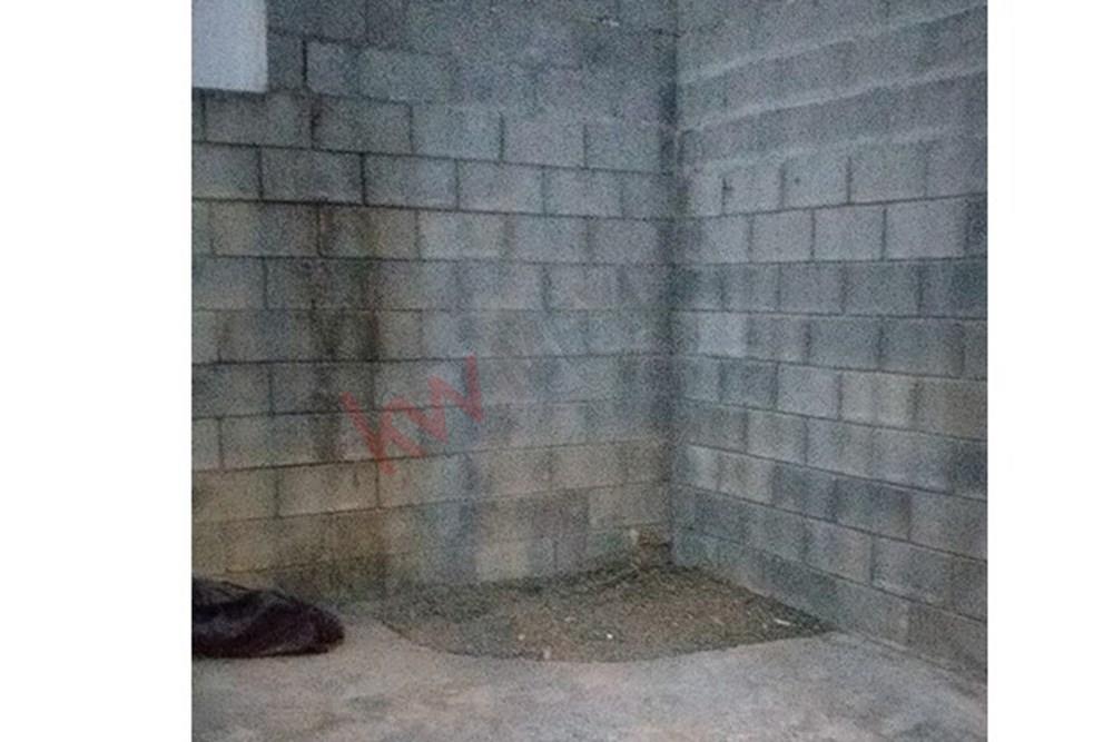 Imagen 3 de 5