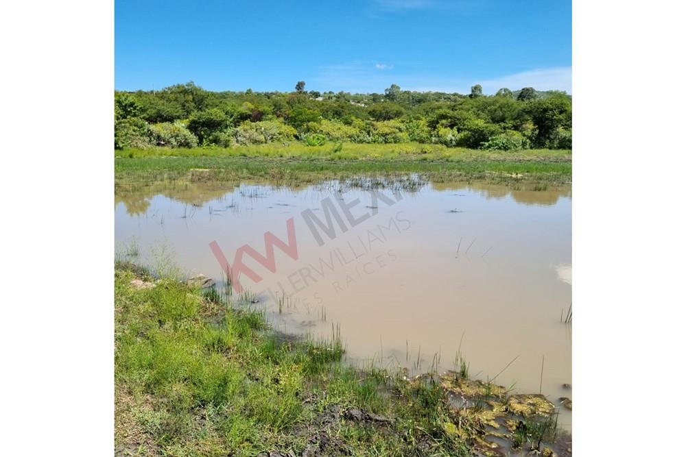 FRACCIONES DE 2,500. m2 UBICADAS EN LA PALMITA SAN MIGUEL DE ALLENDE A 15 MINUTOS DE PRESERVE JURIQUILLA, QUERETARO.