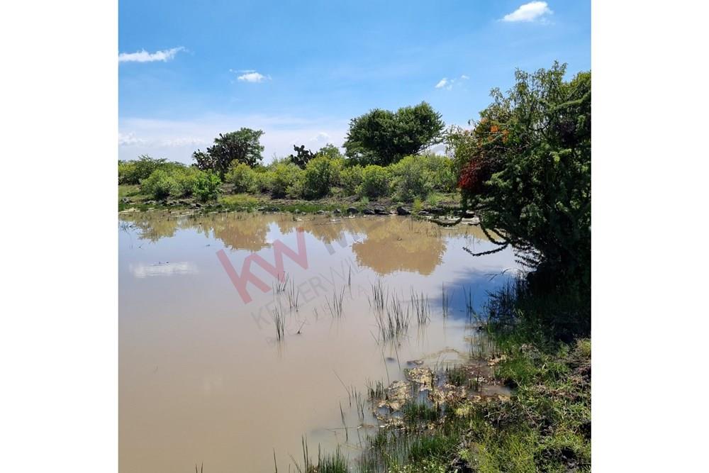 FRACCIONES DE 2,500. m2 UBICADAS EN LA PALMITA SAN MIGUEL DE ALLENDE A 15 MINUTOS DE PRESERVE JURIQUILLA, QUERETARO.