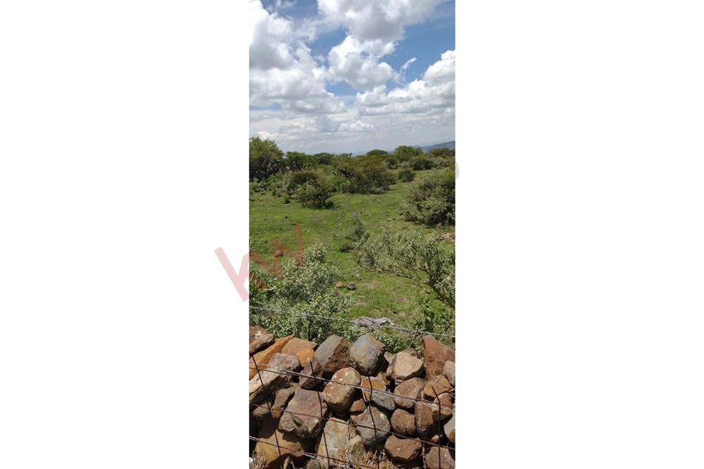 FRACCIONES DE 2,500. m2 UBICADAS EN LA PALMITA SAN MIGUEL DE ALLENDE A 15 MINUTOS DE PRESERVE JURIQUILLA, QUERETARO.