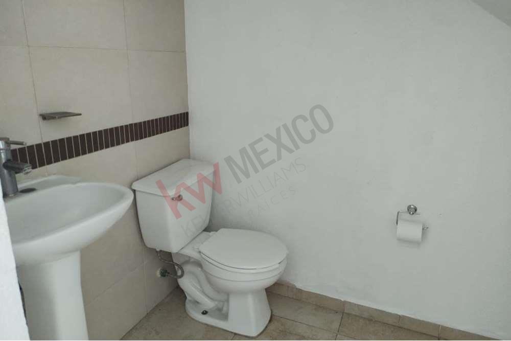 Imagen 5 de 5