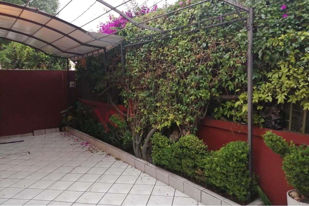 Imagen 5 de 5