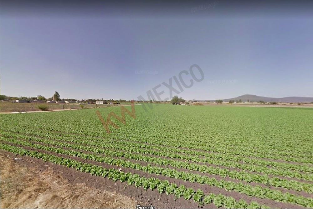 TERRENO EN VENTA PARA CULTIVO O PARA CAMBIO DE USO. CON SISITEMA DE RIEGO Y DERECHOS DE PASO.