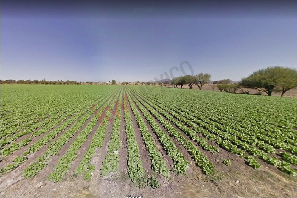 TERRENO EN VENTA PARA CULTIVO O PARA CAMBIO DE USO. CON SISITEMA DE RIEGO Y DERECHOS DE PASO.