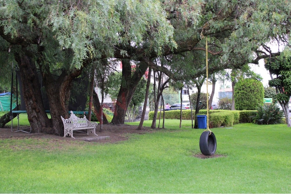 property image 80