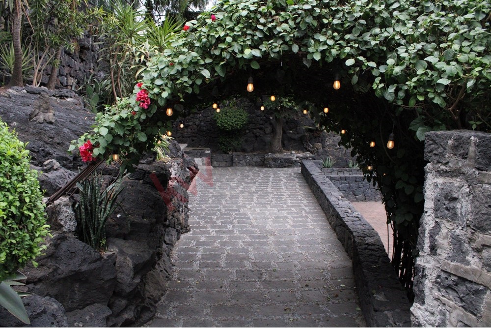 property image 82