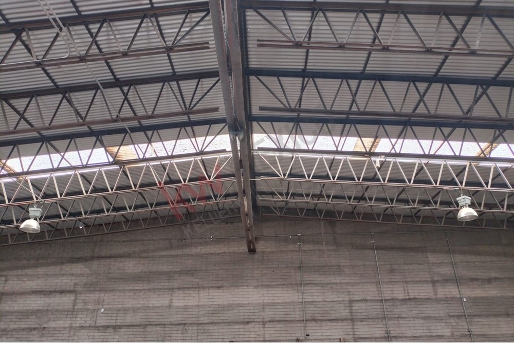 Imagen 4 de 5