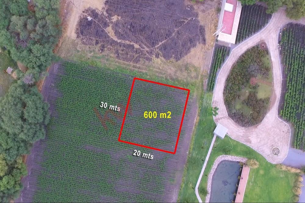 HERMOSO TERRENO EN  VENTA EN LA ZONA CAMPESTRE CON MAYOR PLUSVALIA DE SAN MIGUEL DE ALLENDE