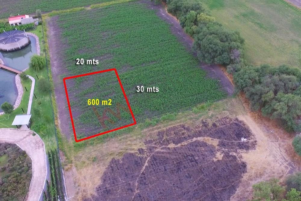 HERMOSO TERRENO EN  VENTA EN LA ZONA CAMPESTRE CON MAYOR PLUSVALIA DE SAN MIGUEL DE ALLENDE