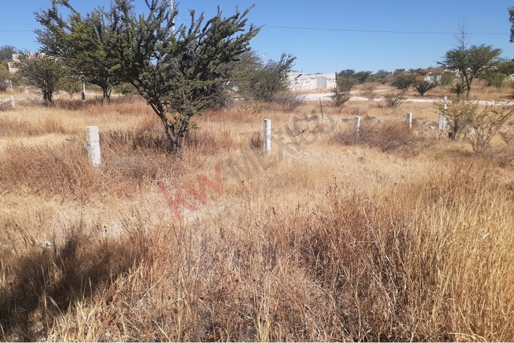 Lote en el campo, San Miguel de Allende, Guanajuato.