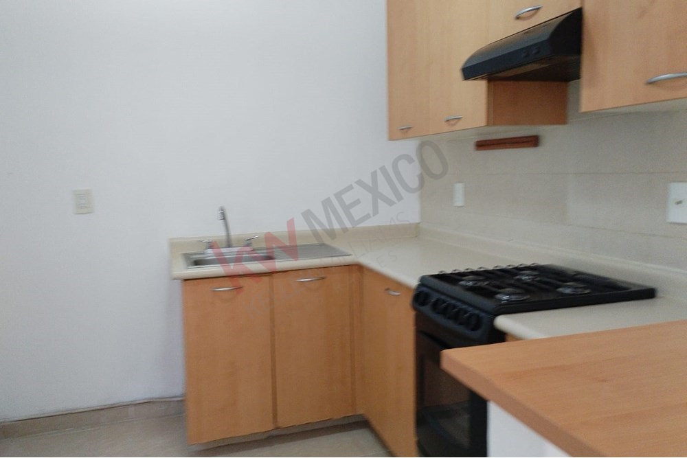 Imagen 3 de 5