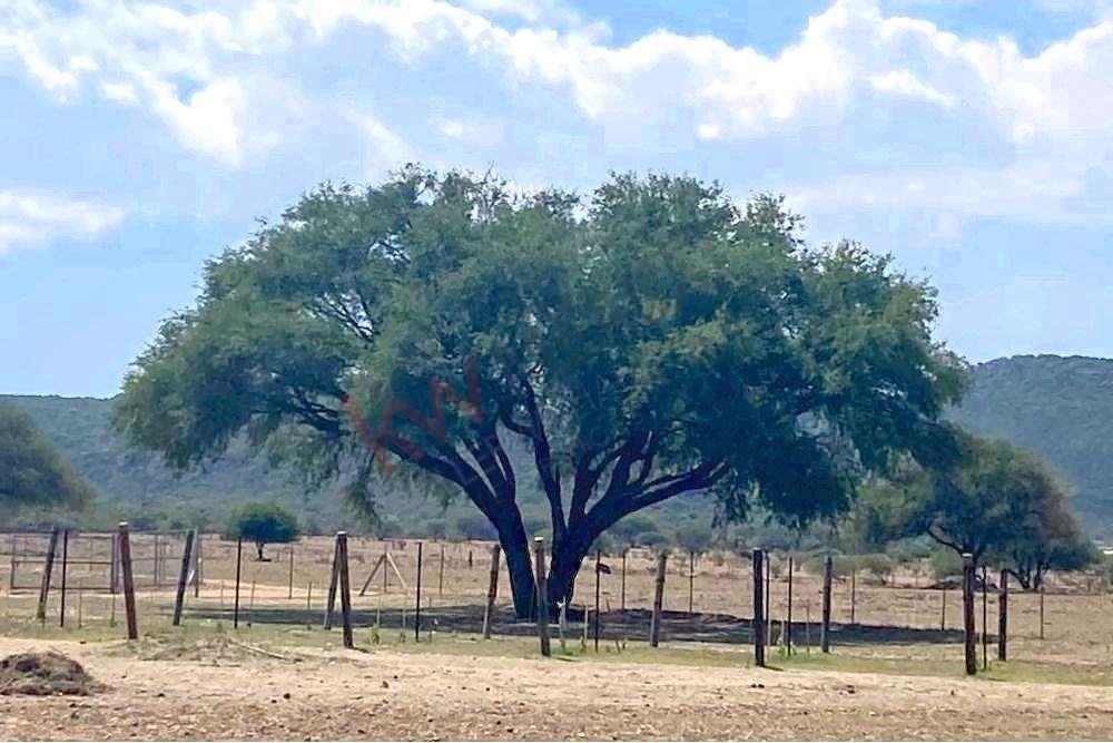 ¡EXCELENTE OPORTUNIDAD PARA TI, INVERSIONISTA!  TERRENO EN TEQUISQUIAPAN 70,530m2 - Documentación 100% en REGLA, libre de gravamen