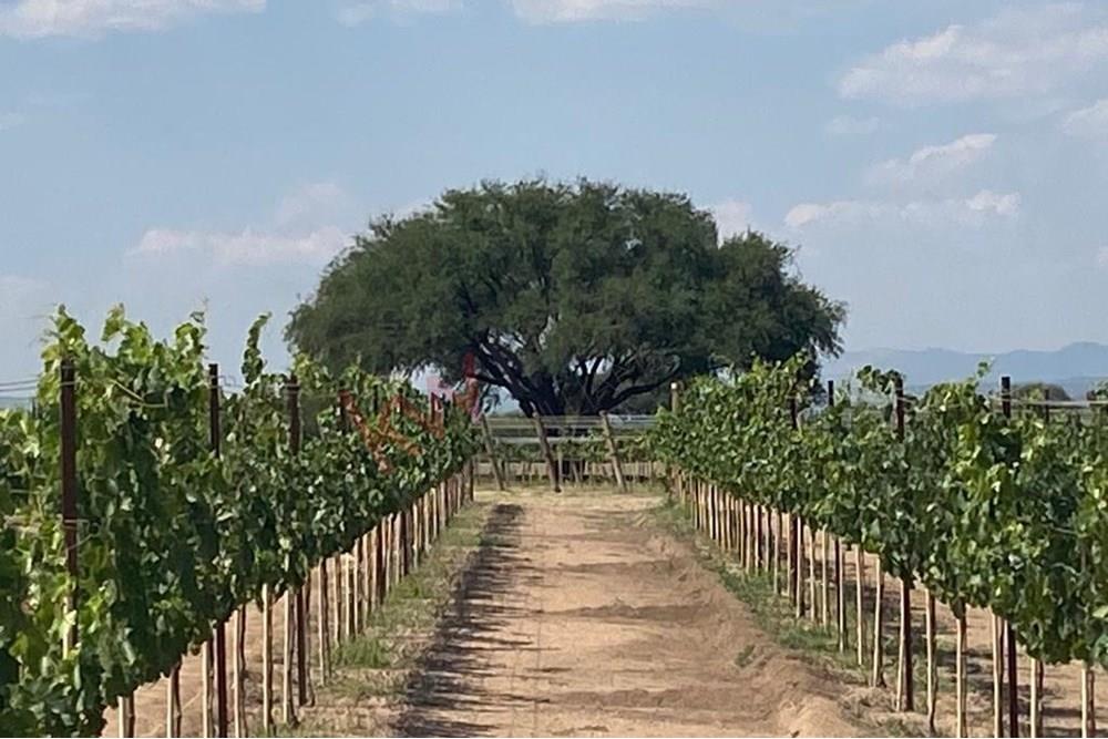 ¡EXCELENTE OPORTUNIDAD PARA TI, INVERSIONISTA!  TERRENO EN TEQUISQUIAPAN 70,530m2 - Documentación 100% en REGLA, libre de gravamen