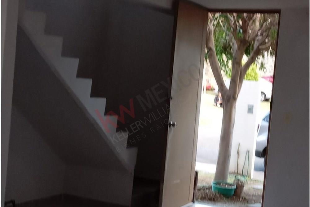 Imagen 3 de 5