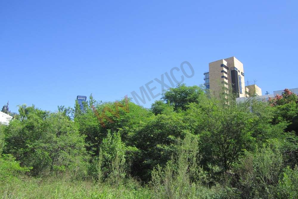 EXCELENTE TERRENO EN LOMAS DEL CAMPESTRE, SAN PEDRO