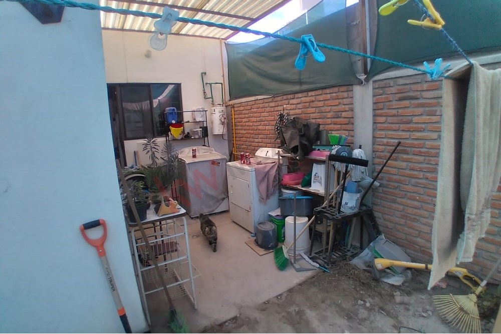 Imagen 3 de 5