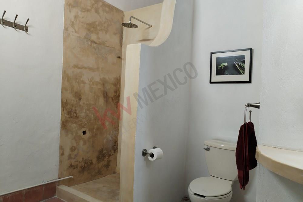 Imagen 5 de 5