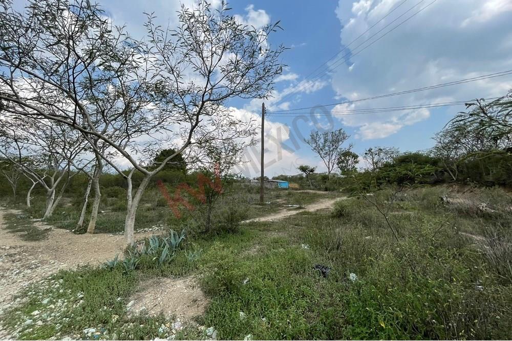 EXCELENTE TERRENO PARA INVERSION EN SAN MIGUEL GUELACHE DISTRITO DE ETLA A 20 MINUTOS DEL CENRO DE OAXACA