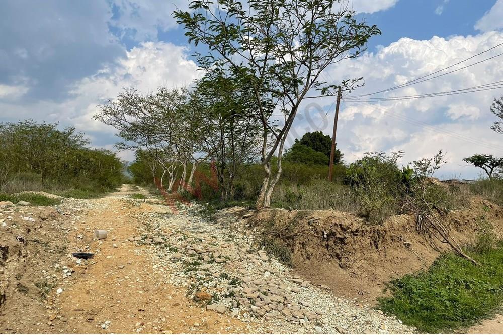 EXCELENTE TERRENO PARA INVERSION EN SAN MIGUEL GUELACHE DISTRITO DE ETLA A 20 MINUTOS DEL CENRO DE OAXACA