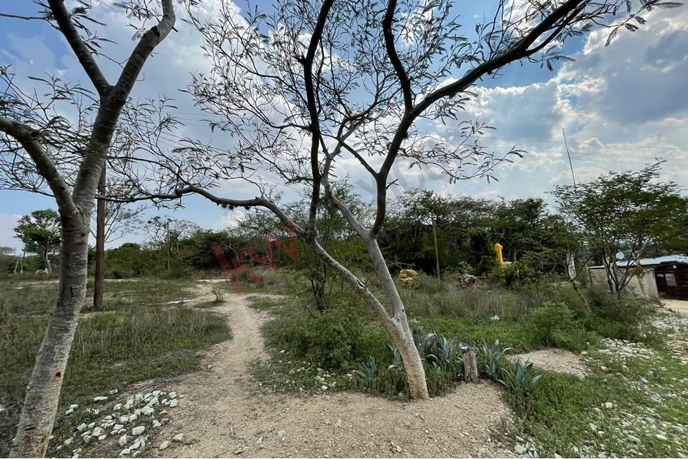 EXCELENTE TERRENO PARA INVERSION EN SAN MIGUEL GUELACHE DISTRITO DE ETLA A 20 MINUTOS DEL CENRO DE OAXACA