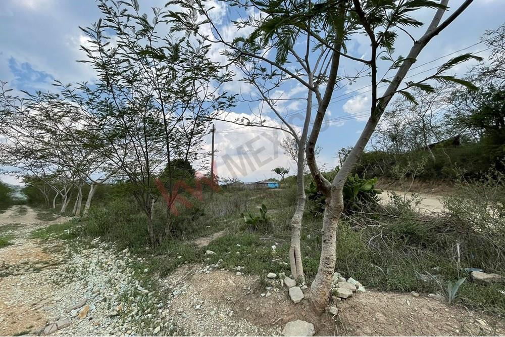 EXCELENTE TERRENO PARA INVERSION EN SAN MIGUEL GUELACHE DISTRITO DE ETLA A 20 MINUTOS DEL CENRO DE OAXACA