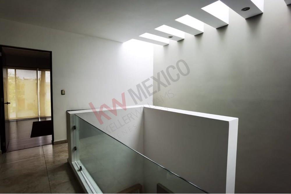 Imagen 5 de 5