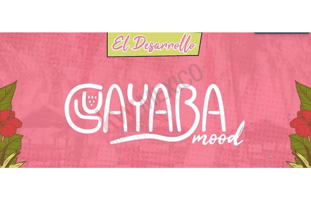 PREVENTA terrenos Quintana Roo, Bosques de Cancun en Quintana Roo. Venta Terrenos patrimoniales  rùsticos con amenidades , Mensualidades sin Intereses , ancla comercial a un lado