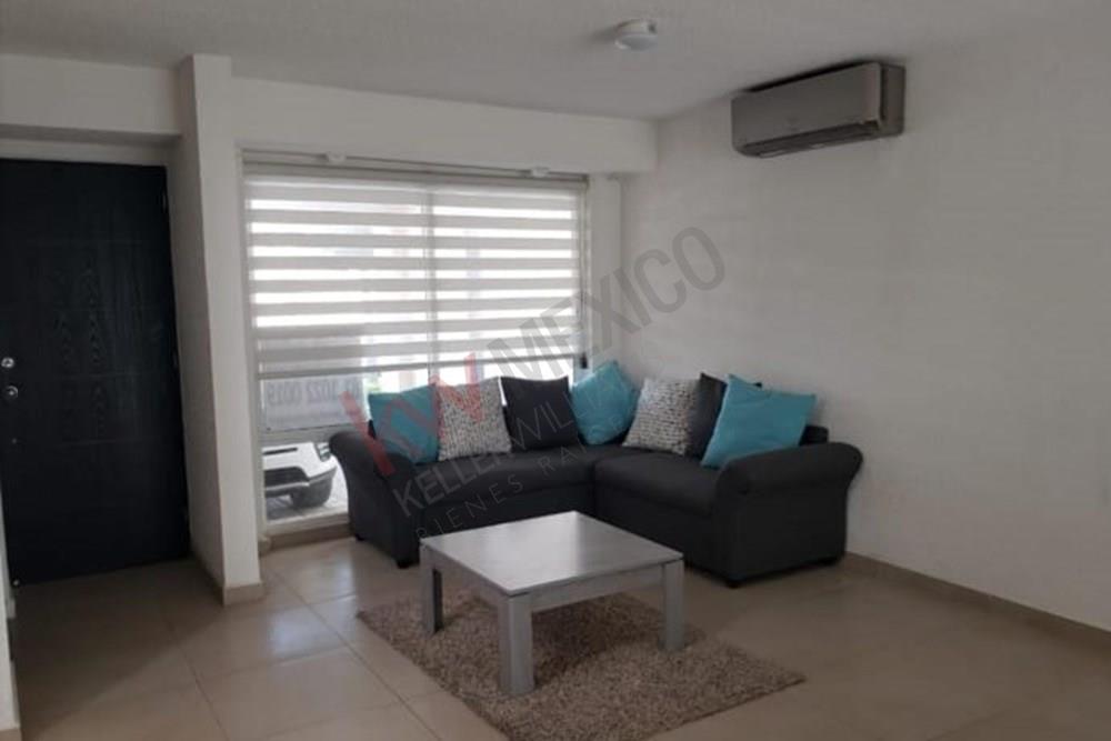 Imagen 3 de 5