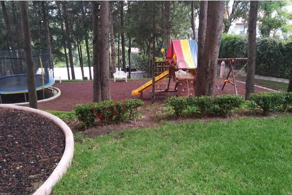 Imagen 4 de 5