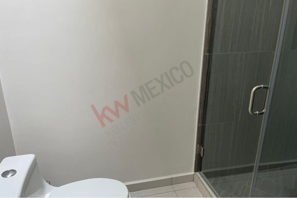 Imagen 3 de 5