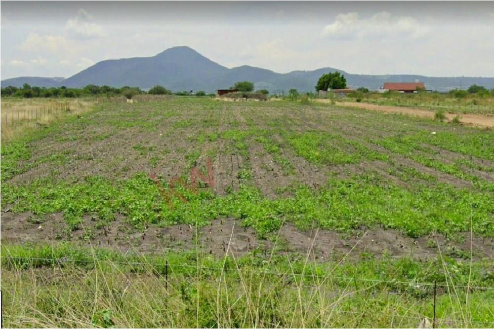 ATENCION INVERSIONISTAS... TERRENO PARA NEGOCIO A PIE DE CARRETERA