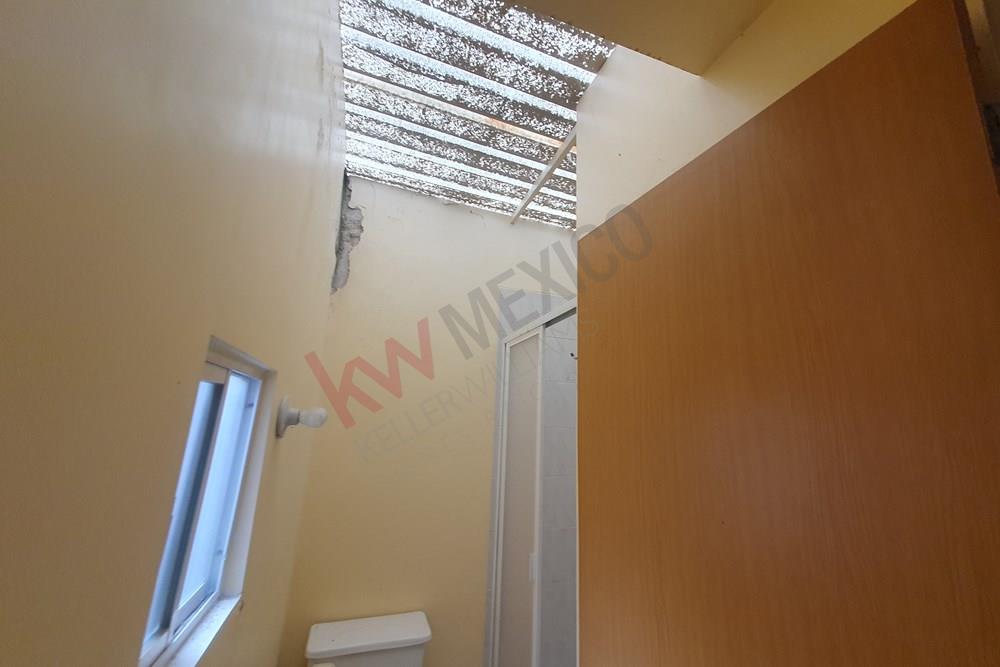 Imagen 3 de 5