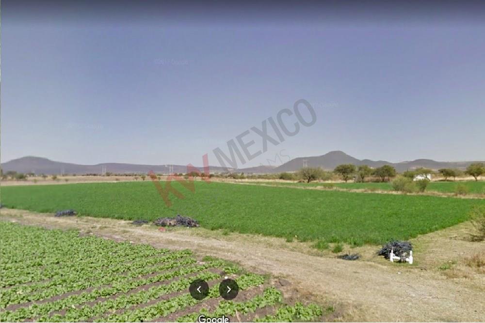 PARCELA EN VENTA PARA CULTIVO CON SISITEMA DE RIEGO Y DERECHOS DE PASO.