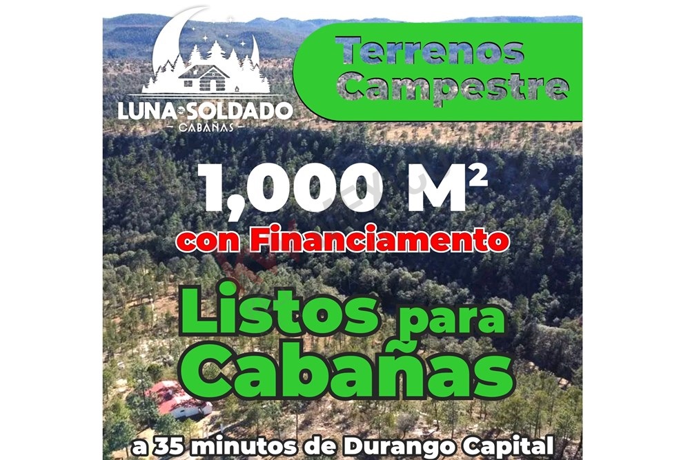 Imagen 2 de 5