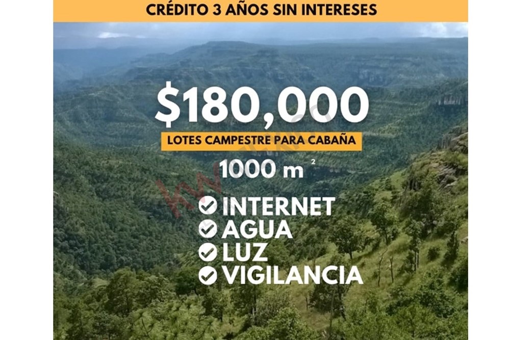 Imagen 3 de 5