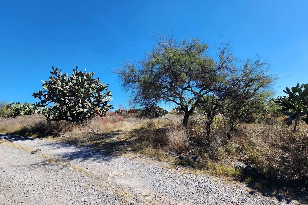Beautiful Corner Lot Located in El Toreador