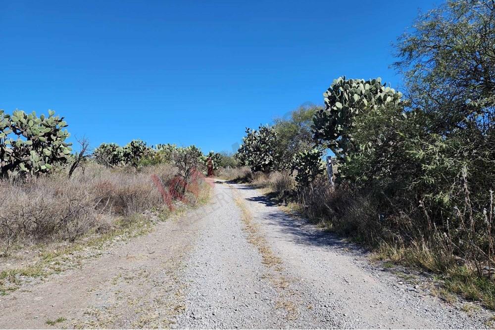 Beautiful Corner Lot Located in El Toreador