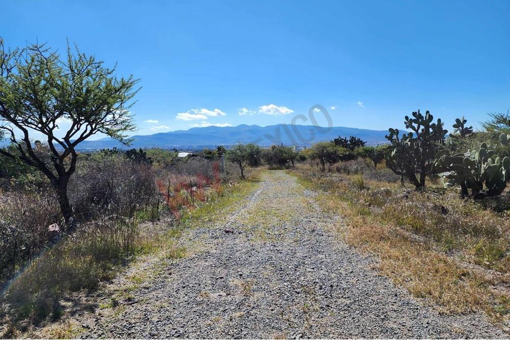 Beautiful Corner Lot Located in El Toreador
