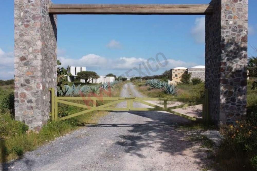 Beautiful Corner Lot Located in El Toreador