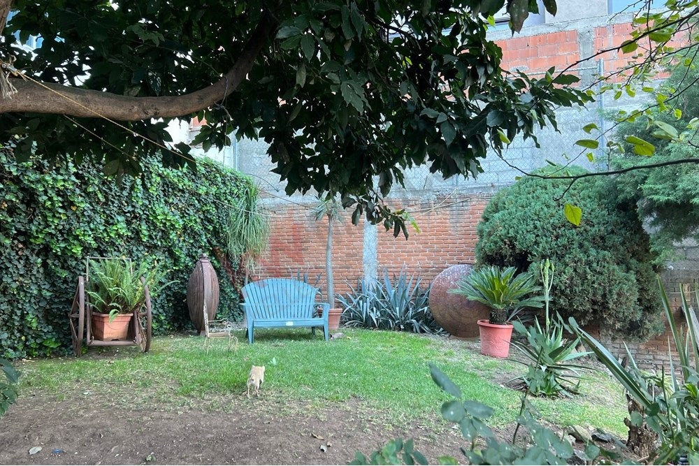 Imagen 5 de 5