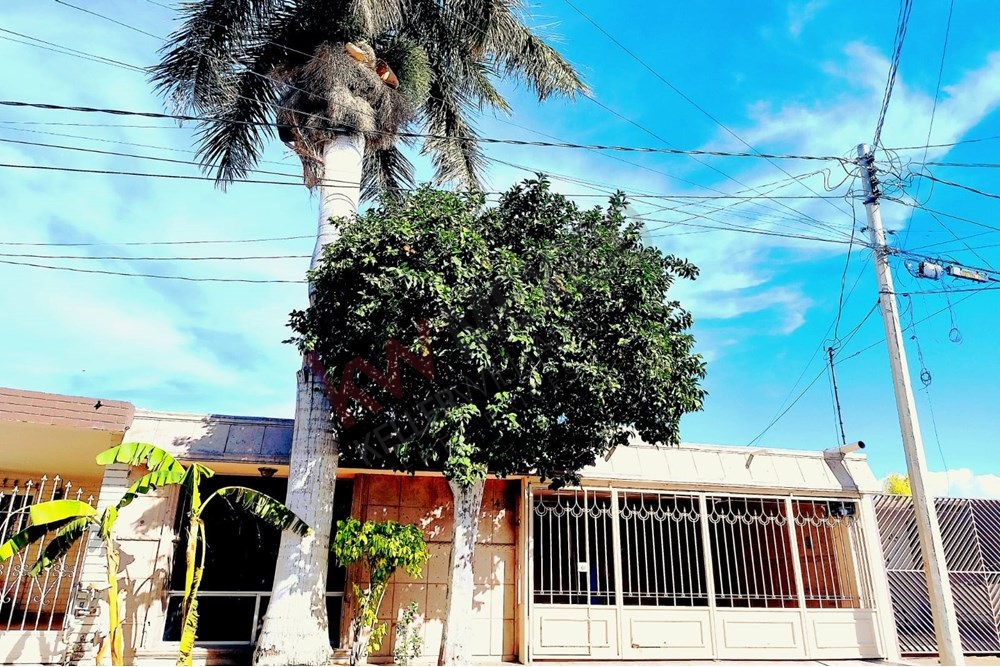 Descubre Tu Nuevo Hogar en Los Nogales Amp