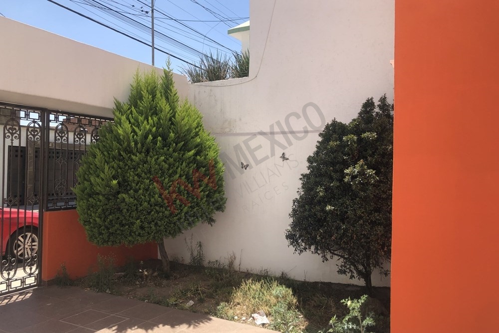 Imagen 4 de 5