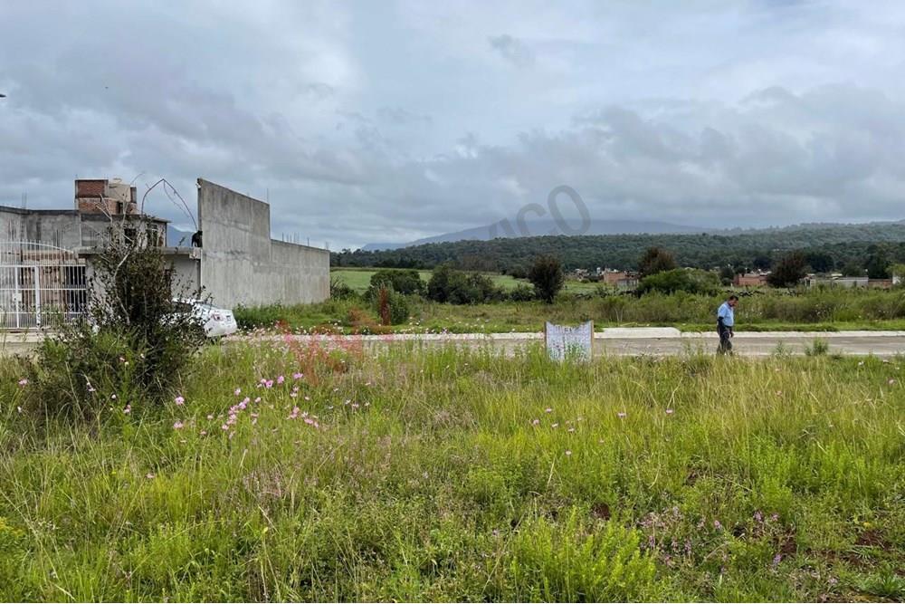 Imagen 3 de 5