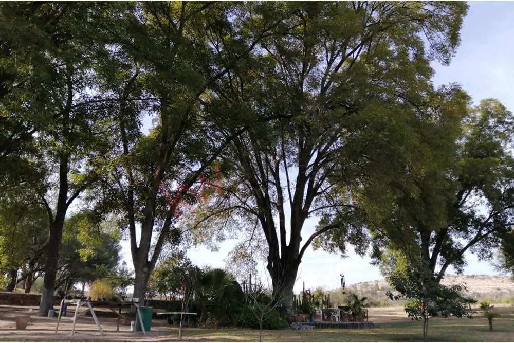 Imagen 4 de 5